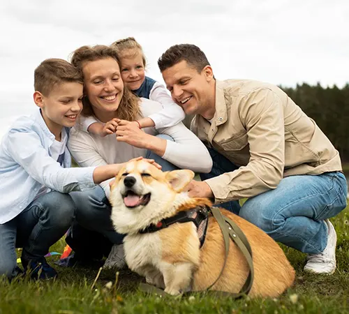 Family Dogs